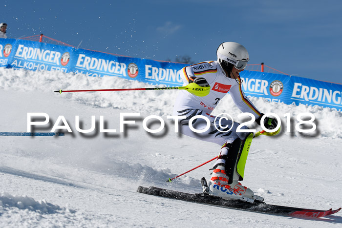 Int. Deutsche Meisterschaft Slalom Herren 25.03.2018