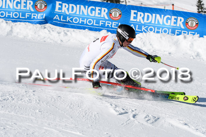 Int. Deutsche Meisterschaft Slalom Herren 25.03.2018