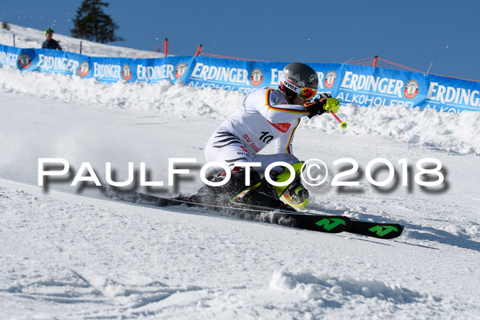 Int. Deutsche Meisterschaft Slalom Herren 25.03.2018