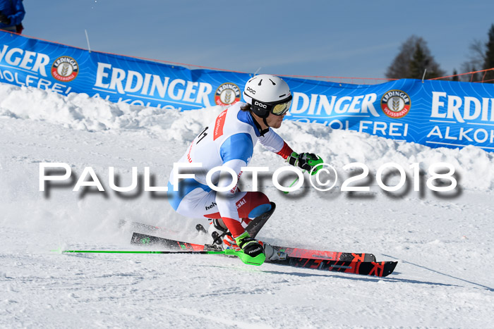 Int. Deutsche Meisterschaft Slalom Herren 25.03.2018