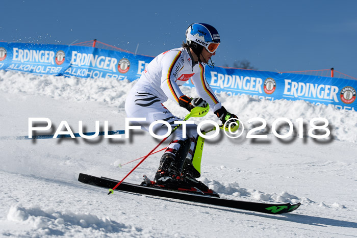 Int. Deutsche Meisterschaft Slalom Herren 25.03.2018