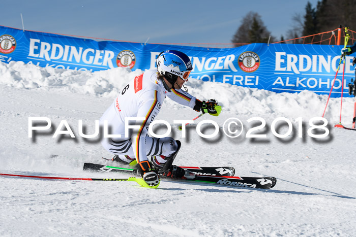 Int. Deutsche Meisterschaft Slalom Herren 25.03.2018