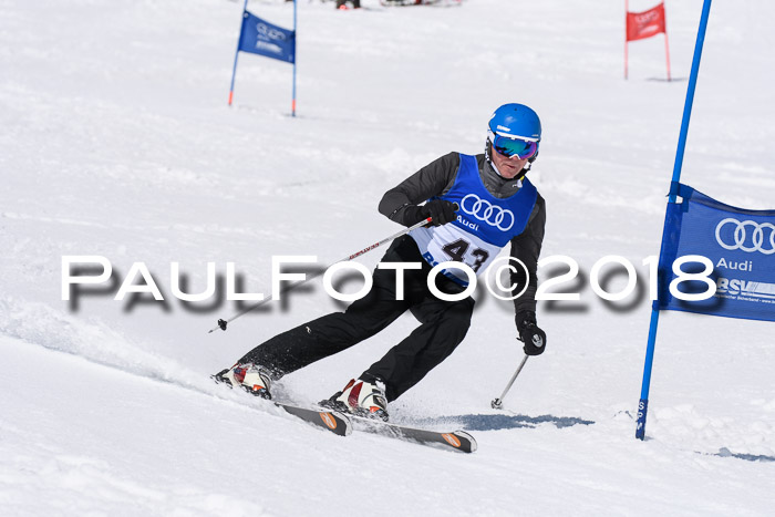 Ski Golf Masters 2018, Riesenslalom