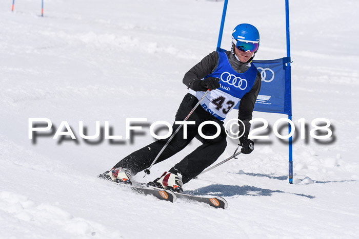 Ski Golf Masters 2018, Riesenslalom