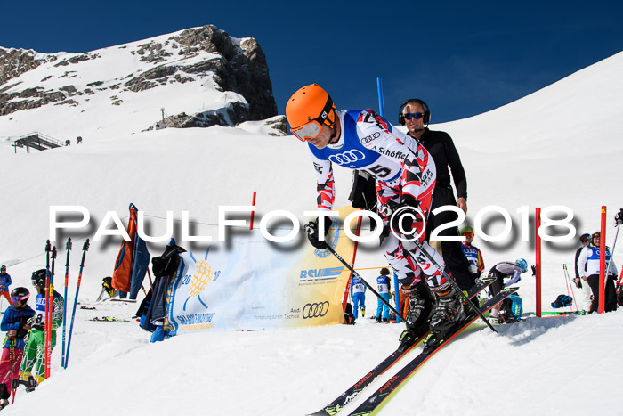 Ski Golf Masters 2018, Riesenslalom