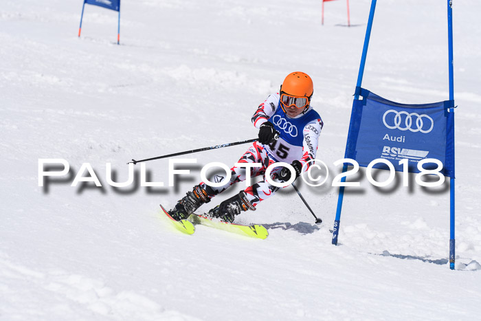 Ski Golf Masters 2018, Riesenslalom