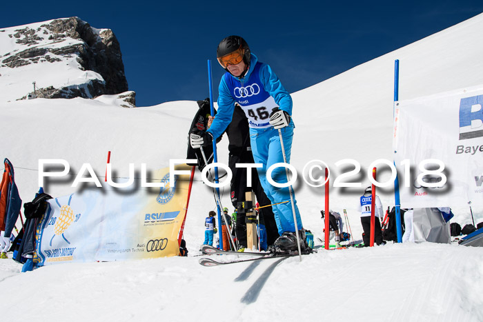 Ski Golf Masters 2018, Riesenslalom