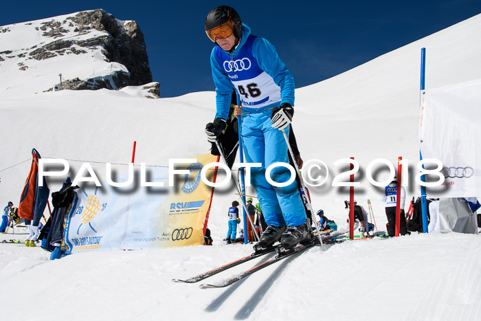 Ski Golf Masters 2018, Riesenslalom