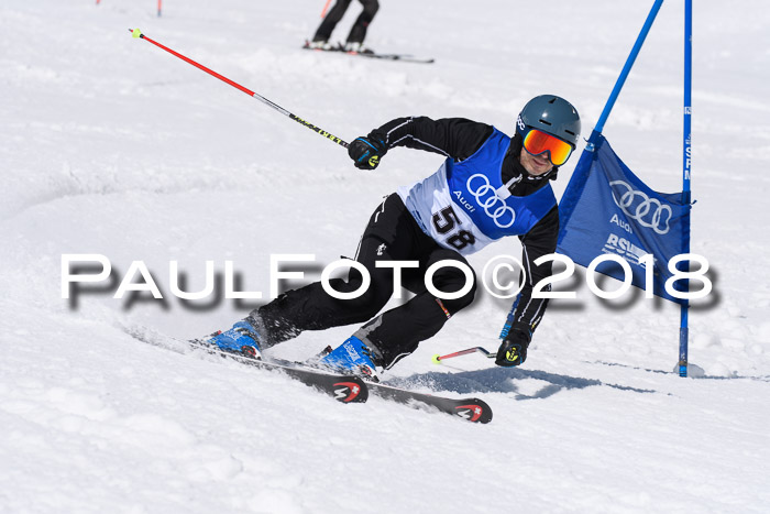 Ski Golf Masters 2018, Riesenslalom