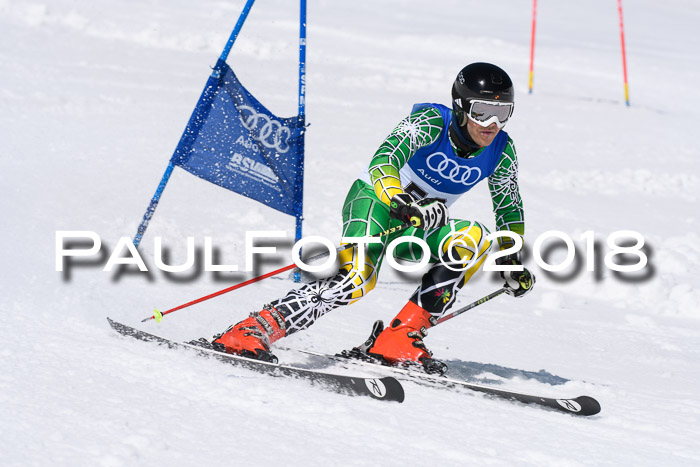 Ski Golf Masters 2018, Riesenslalom