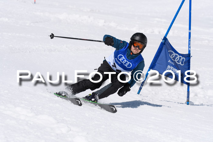 Ski Golf Masters 2018, Riesenslalom