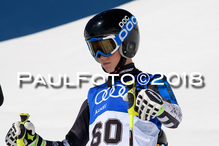 Ski Golf Masters 2018, Riesenslalom