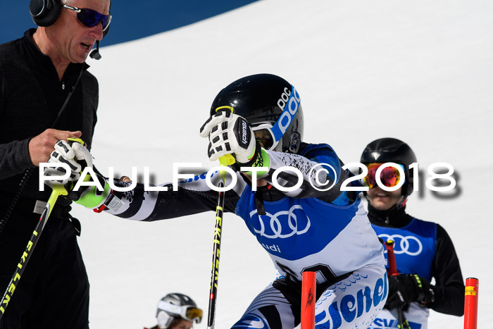 Ski Golf Masters 2018, Riesenslalom