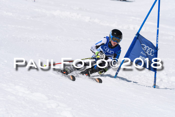 Ski Golf Masters 2018, Riesenslalom