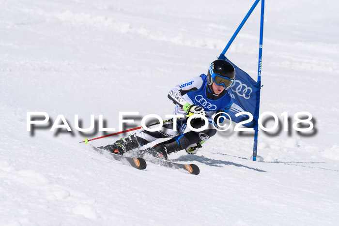 Ski Golf Masters 2018, Riesenslalom