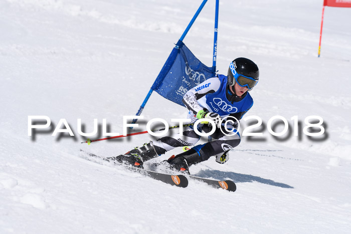 Ski Golf Masters 2018, Riesenslalom