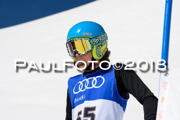 Ski Golf Masters 2018, Riesenslalom