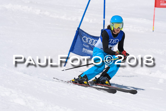 Ski Golf Masters 2018, Riesenslalom