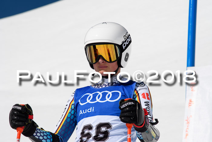 Ski Golf Masters 2018, Riesenslalom