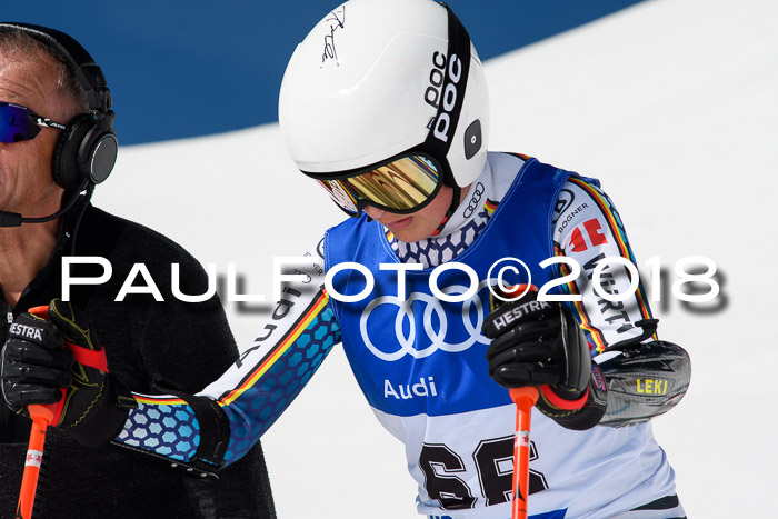 Ski Golf Masters 2018, Riesenslalom