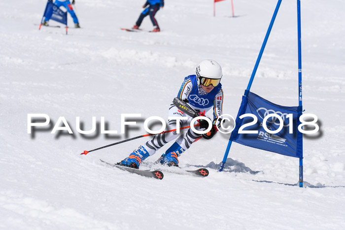 Ski Golf Masters 2018, Riesenslalom