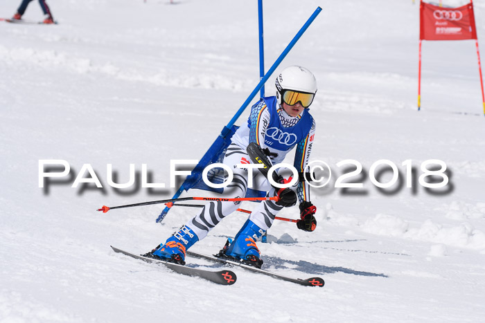 Ski Golf Masters 2018, Riesenslalom