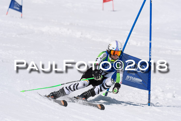 Ski Golf Masters 2018, Riesenslalom