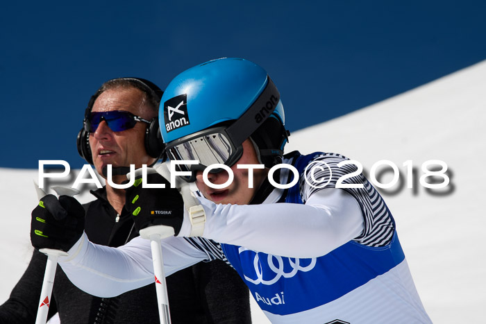 Ski Golf Masters 2018, Riesenslalom