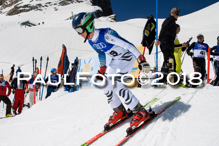 Ski Golf Masters 2018, Riesenslalom