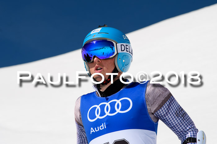 Ski Golf Masters 2018, Riesenslalom