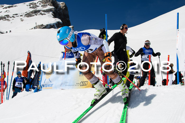 Ski Golf Masters 2018, Riesenslalom