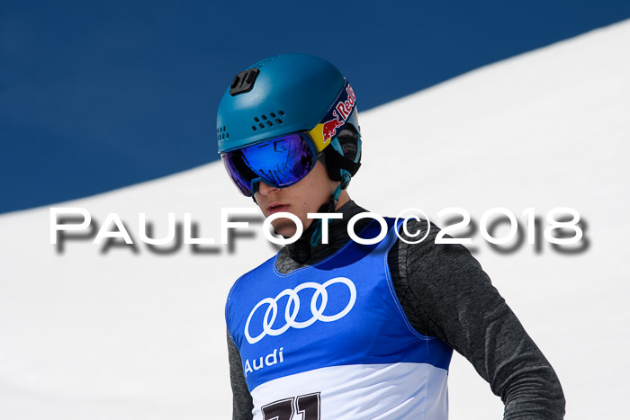 Ski Golf Masters 2018, Riesenslalom