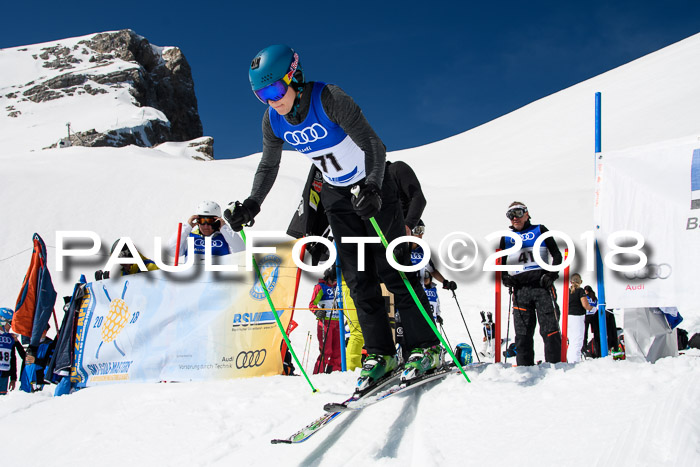 Ski Golf Masters 2018, Riesenslalom