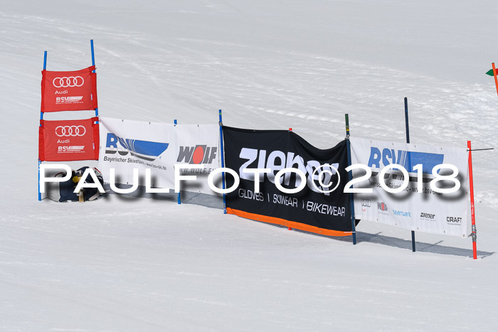 Ski Golf Masters 2018, Riesenslalom