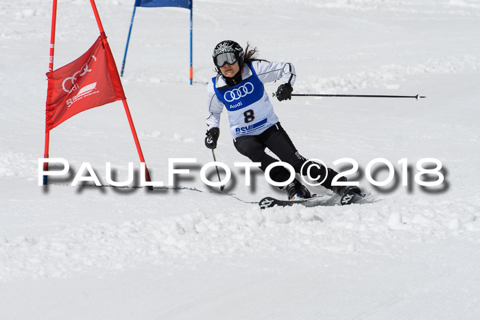 Ski Golf Masters 2018, Riesenslalom