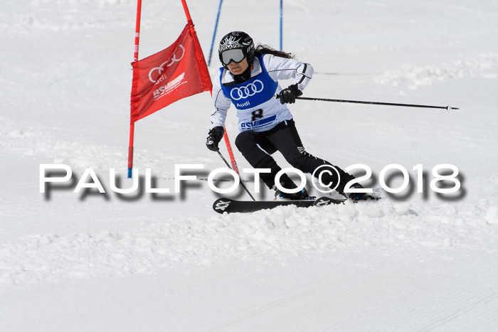 Ski Golf Masters 2018, Riesenslalom