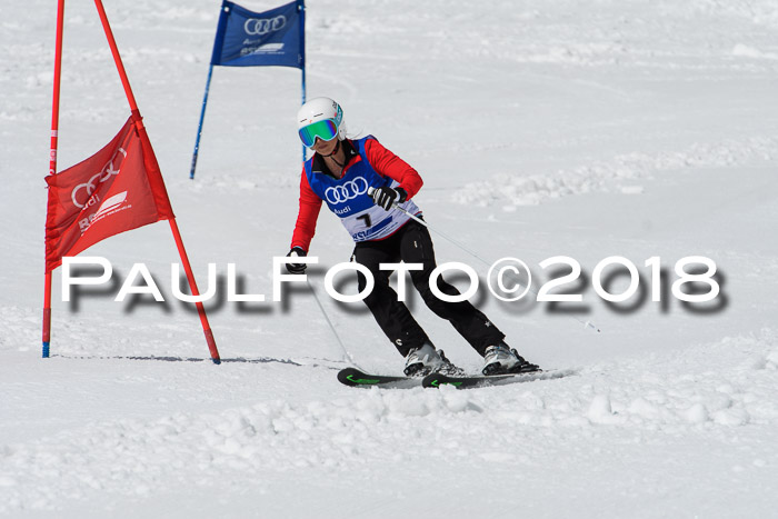 Ski Golf Masters 2018, Riesenslalom