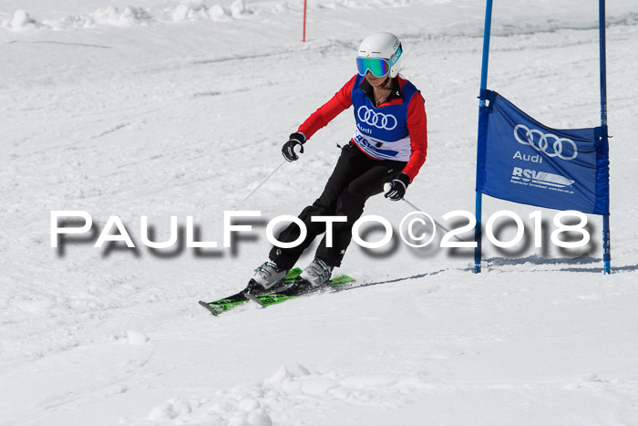 Ski Golf Masters 2018, Riesenslalom