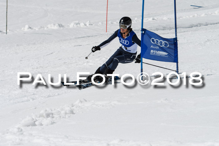 Ski Golf Masters 2018, Riesenslalom