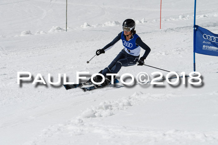 Ski Golf Masters 2018, Riesenslalom