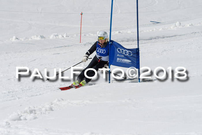 Ski Golf Masters 2018, Riesenslalom