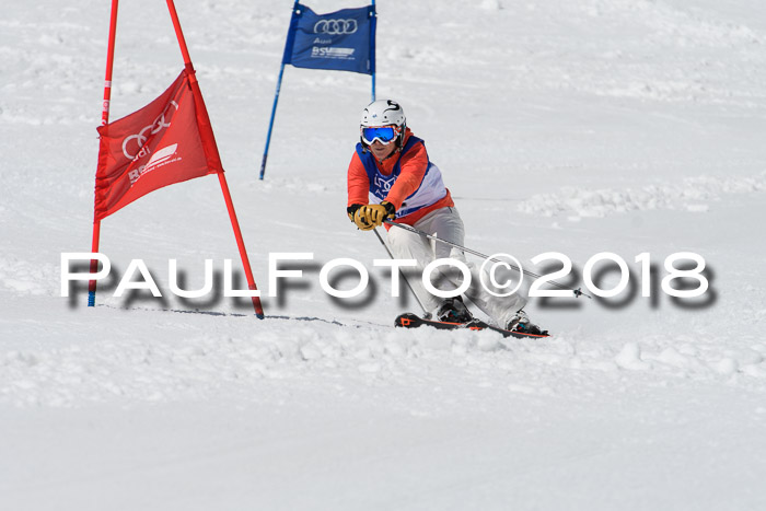 Ski Golf Masters 2018, Riesenslalom