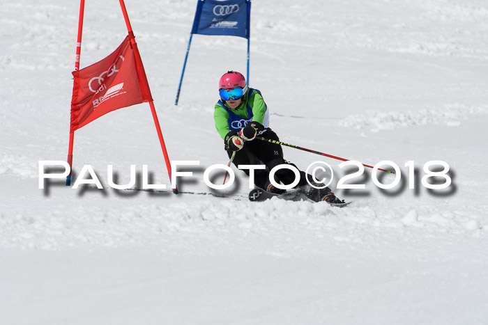 Ski Golf Masters 2018, Riesenslalom