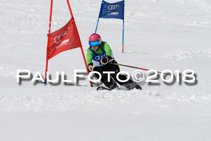 Ski Golf Masters 2018, Riesenslalom