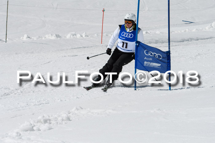 Ski Golf Masters 2018, Riesenslalom