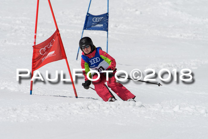 Ski Golf Masters 2018, Riesenslalom