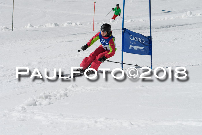 Ski Golf Masters 2018, Riesenslalom