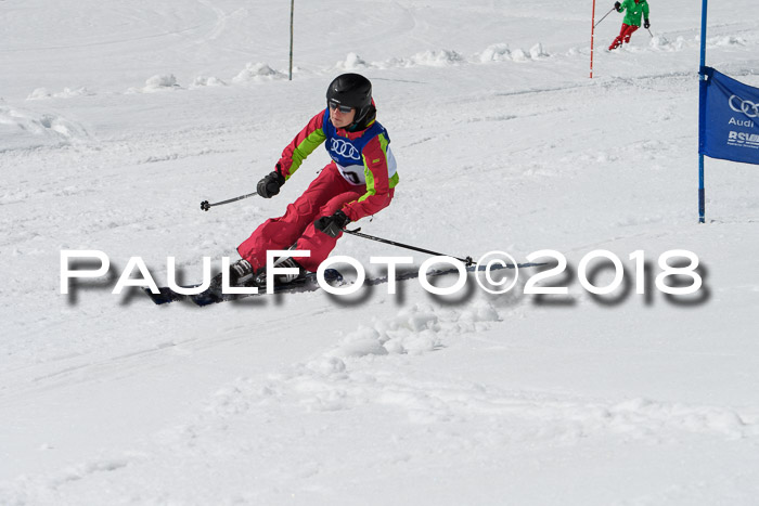 Ski Golf Masters 2018, Riesenslalom