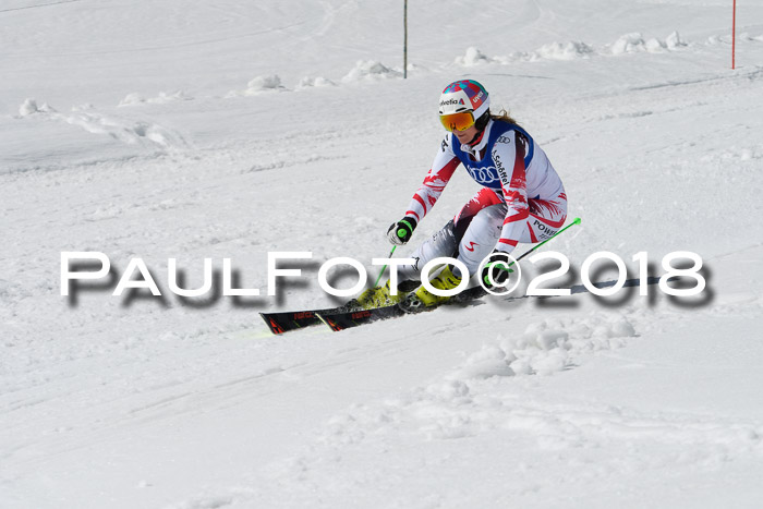 Ski Golf Masters 2018, Riesenslalom