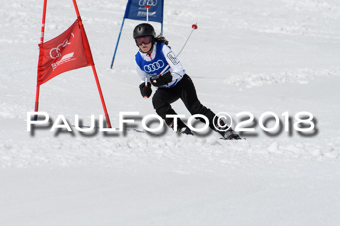 Ski Golf Masters 2018, Riesenslalom